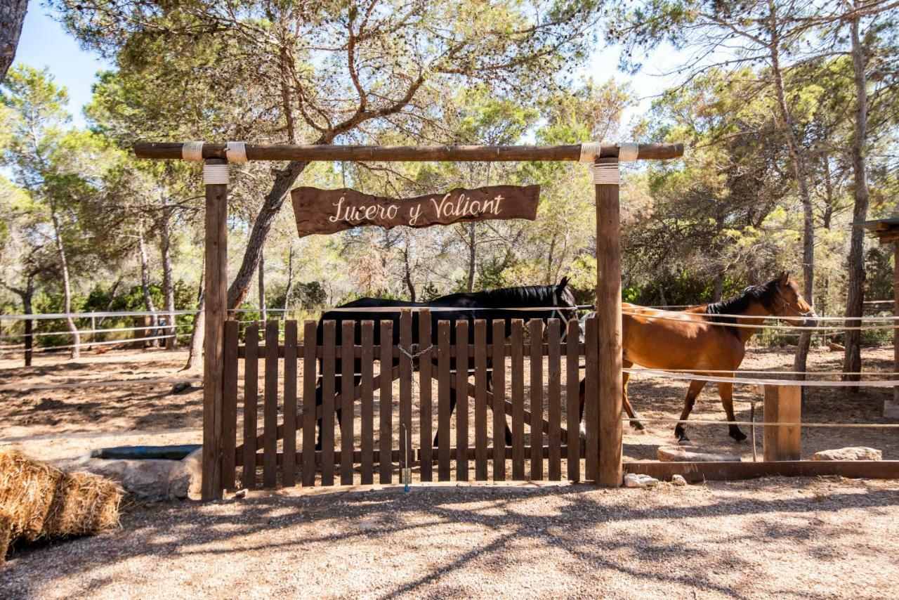 Hostal Cala Boix Es Canar (Ibiza) Exterior foto
